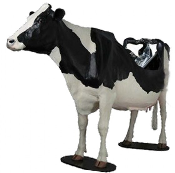 Hol&scaron;t&yacute;nsk&yacute; skot-2